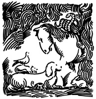 animalsx2_00